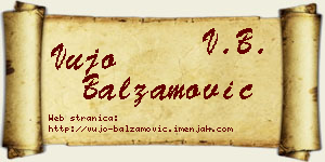 Vujo Balzamović vizit kartica